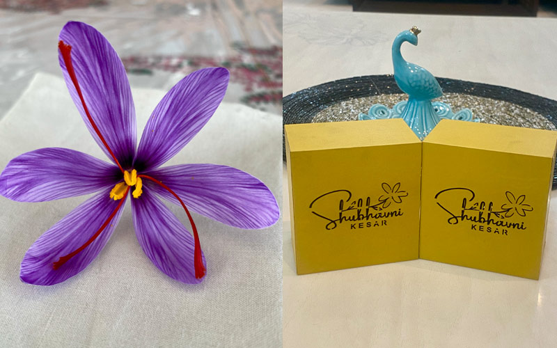 Purple saffron bloom and two yellow boxes with Shubhavni Kesar logos.