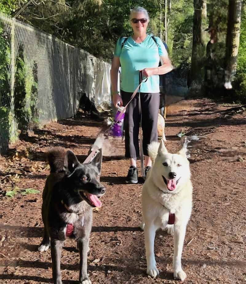 Cindy walks two dogs on a dirt trail.