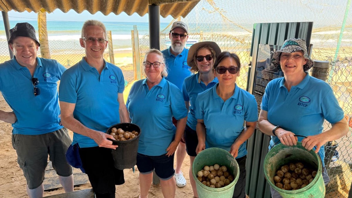 Saving the Environment, One Sea Turtle at a Time