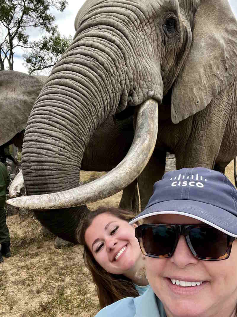 Two people smile with an elephant.