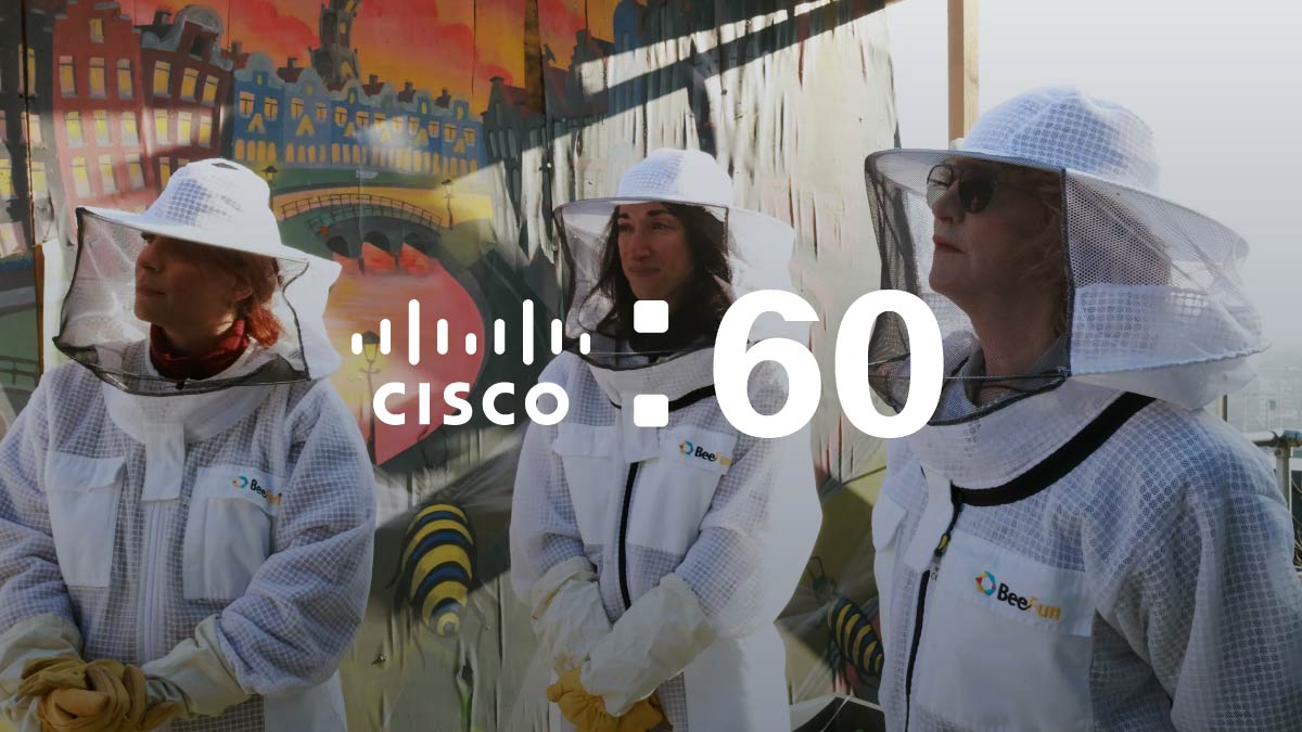Cisco news in 60 seconds: Connected bees